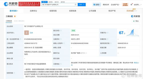 深開鴻落子荊門成立數(shù)字產(chǎn)業(yè)公司 注冊資本500萬聚焦信息系統(tǒng)集成服務(wù)